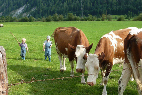 Urlaub am Bauernhof in Radstadt, Salzburger Land - Bleiwanggut